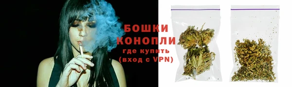 ПСИЛОЦИБИНОВЫЕ ГРИБЫ Белая Холуница